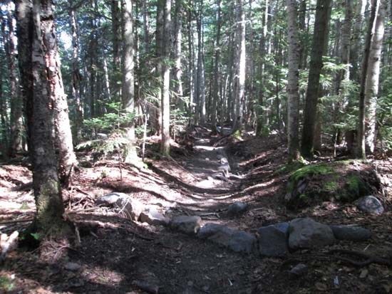 The Gorge Brook Trail reroute
