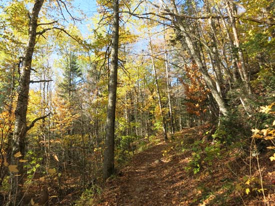 Looking up the Gorge Brook Trail