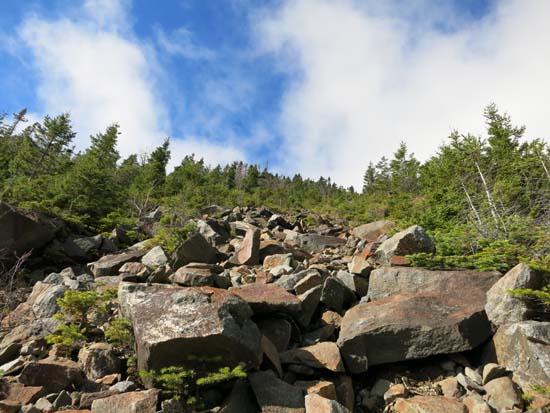 Looking up the abandoned Gorge Brook Slide Trail
