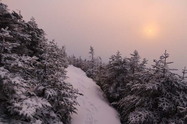The Gorge Brook Trail after sunrise
