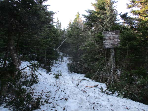 The Carriage Road
