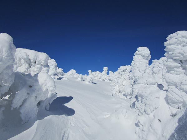 The Gorge Brook Trail near treeline