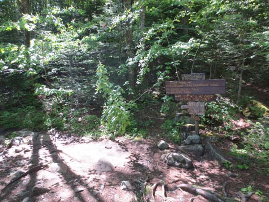 The Gorge Brook Trail trailhead at the end of the Class of 1982 Bridge