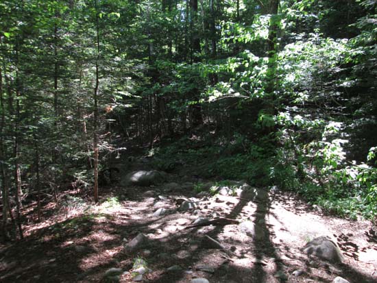 The signless Gorge Brook Trail trailhead at the end of the Class of 1982 Bridge