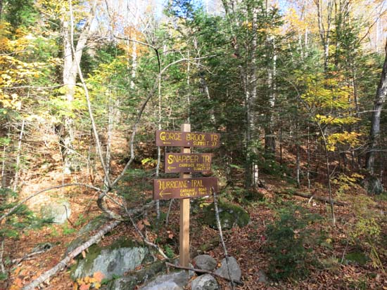The Gorge Brook Trail trailhead at the end of the Class of 1982 Bridge