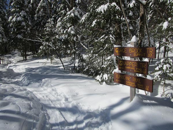 The Gorge Brook Trail trailhead at the end of the Class of 1982 Bridge