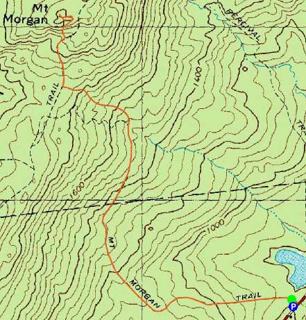 Topographic map of Mt. Morgan - Click to enlarge