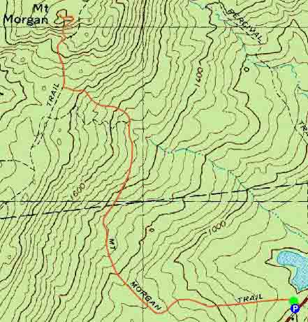 Topographic map of Mt. Morgan - Click to enlarge