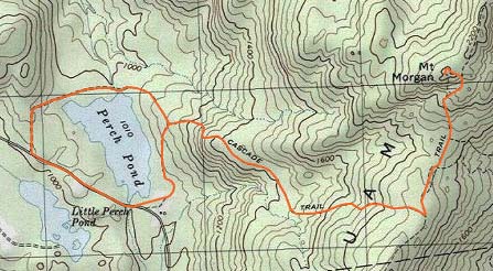 Topographic map of Mt. Morgan
