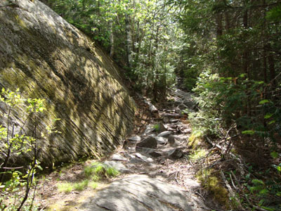 The Mt. Morgan Trail near the summit of Mt. Morgan