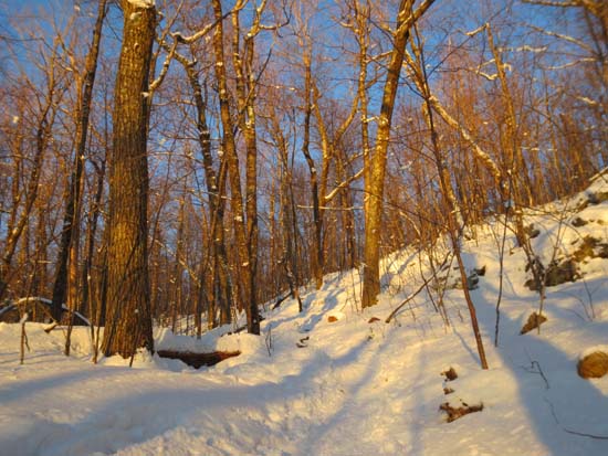The Mt. Morgan Trail after sunrise