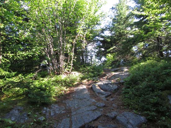Crawford-Ridgepole trail from Mt. Morgan to Mt. Percival