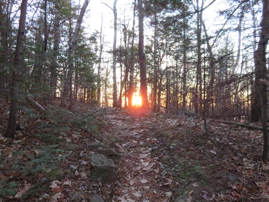 Mt. Morgan Trail
