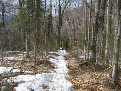 Looking down the Stony Brook Trail