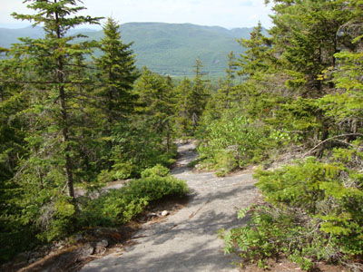 Looking down the Carter Moriah Trail between Mt. Surprise and Mt. Moriah