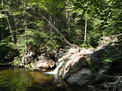 One of the many cascades along the Moriah Brook Trail