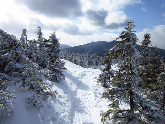 Looking down the Carter-Moriah Trail