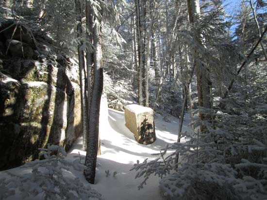 The herd path to Mt. Nancy