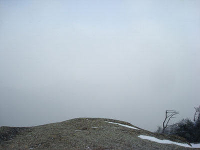 Looking into a cloud from the Mt. Osceola ledges - Click to enlarge