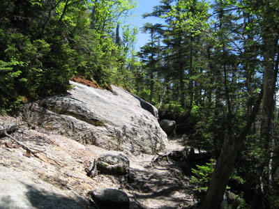 Mt. Osceola Trail to Mt. Osceola