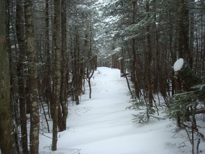 The drifted Mt. Osceola Trail along the ridge