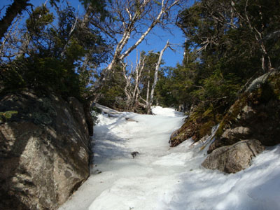 The Mt. Osceola Trail between the east and main peak