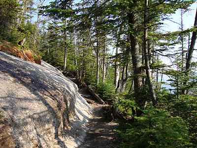 Mt. Osceola Trail to Mt. Osceola