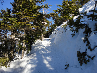 The Mt. Osceola Trail between the peaks