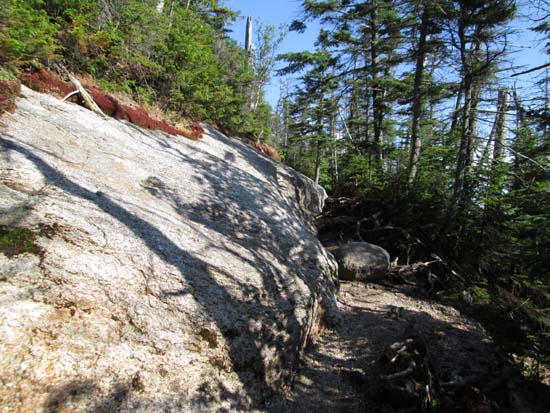 Mt. Osceola Trail to Mt. Osceola