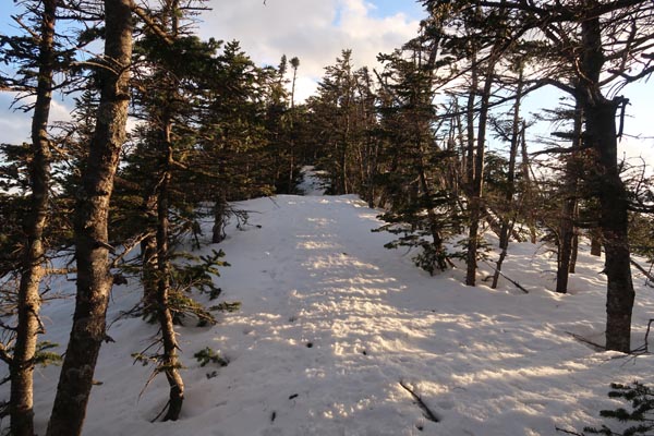 The snow loaded trail between the peaks