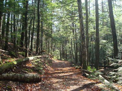 Looking down the Mount Langdon Trail