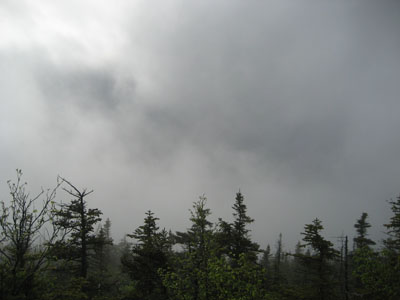 Looking into the fog from near the Mt. Passaconaway summit - Click to enlarge
