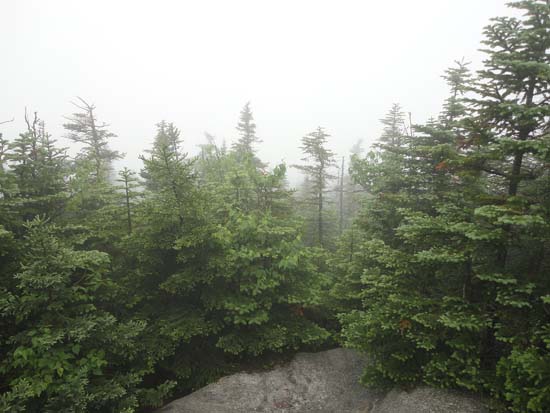 Looking into the fog from near the Mt. Passaconaway summit - Click to enlarge