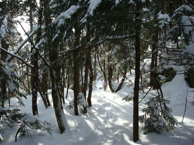 The Rollins Trail from Mt. Whiteface to Mt. Passaconaway