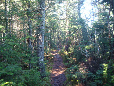 The Rollins Trail from Mt. Whiteface to Mt. Passaconaway