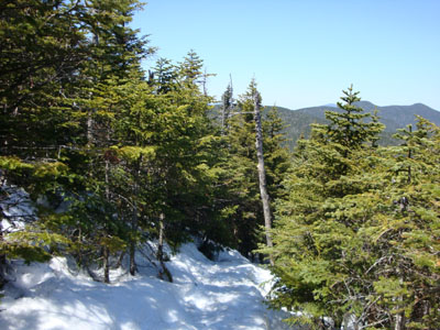 The Rollins Trail from Mt. Whiteface to Mt. Passaconaway