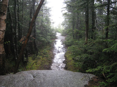 Dicey's Mill Trail near the summit of Mt. Passaconaway