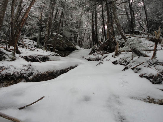 The Walden Trail on the way to Mt. Passaconaway