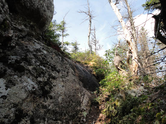 Looking up the abandoned Downes Brook Slide Trail