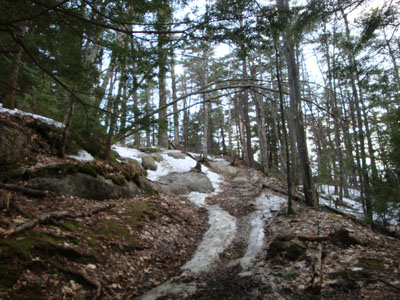 The trail to the South Peak of Mt. Pawtuckaway