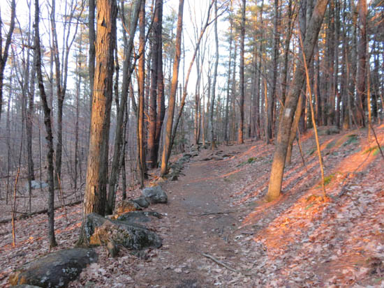 The Tower Trail