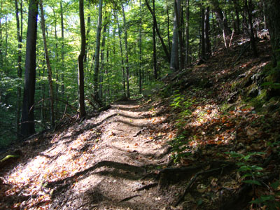 Looking up the Indian Head Trail