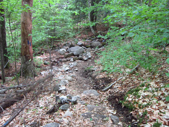 The Mt. Pemigewasset Trail