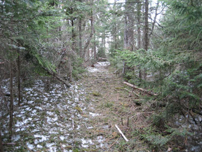 Crawford-Ridgepole trail from Mt. Morgan to Mt. Percival