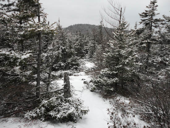 The Crawford-Ridgepole Trail on the way to Mt. Percival