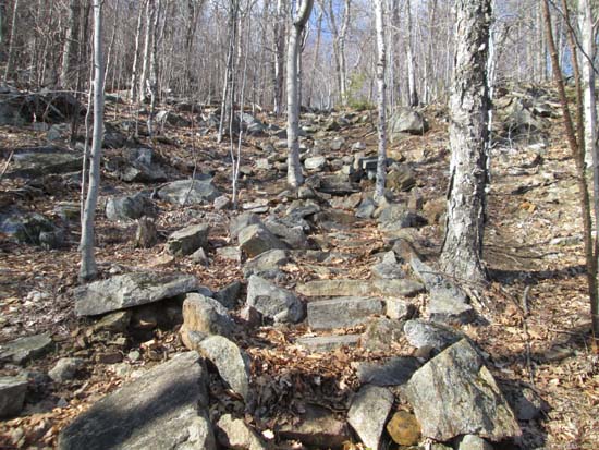 Looking up the Mt. Percival Trail