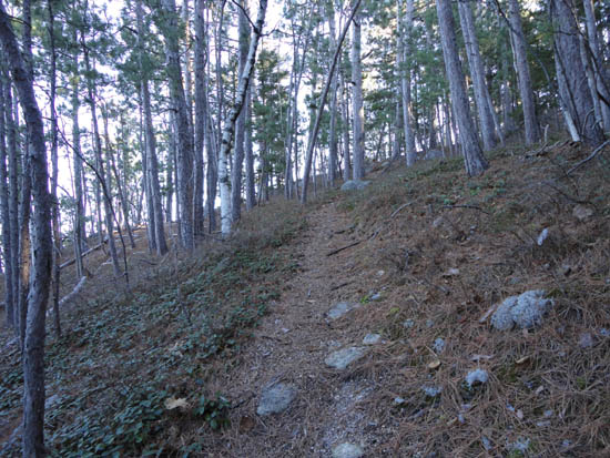 Looking down the Mt. Stanton Trail on the way to Mt. Pickering
