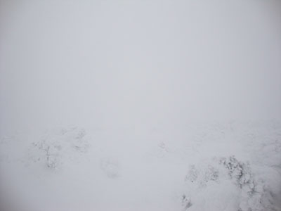 The Mt. Pierce summit - Click to enlarge