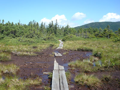 The Webster Cliff Trail to Mt. Pierce