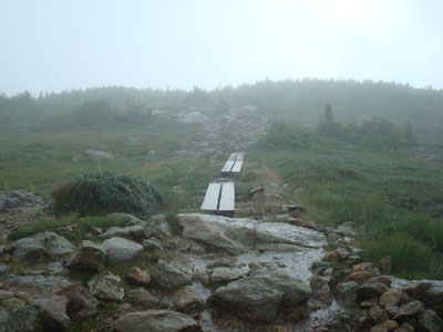 Looking up the Webster Cliff Trail during a downpour